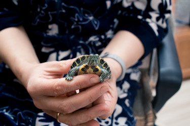 Similar image 21892587