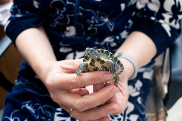 Similar image 21892588