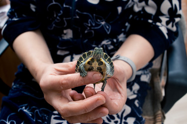 Similar image 21892589