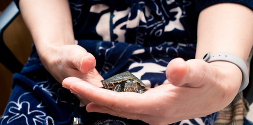 Similar image 21892590