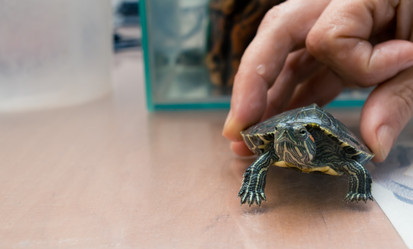 Similar image 21892903