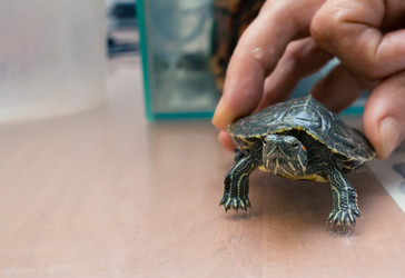 Similar image 21892904