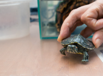 Similar image 21892905