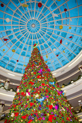 Similar image 21892906