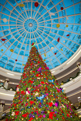 Similar image 21892907