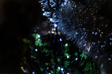 Similar image 21892909