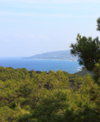 Similar image 21882543