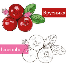 Similar image 21887719