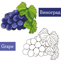 Similar image 21887720