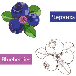 Similar image 21887722