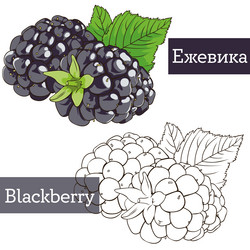 Similar image 21887725