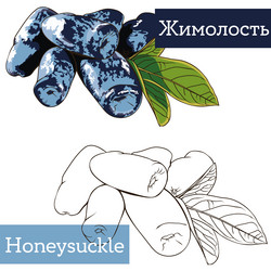 Similar image 21887726