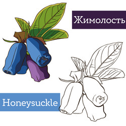 Similar image 21887727