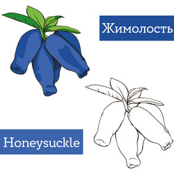 Similar image 21887728