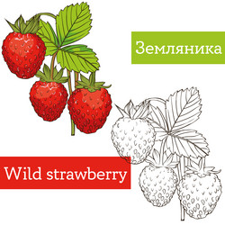 Similar image 21887729