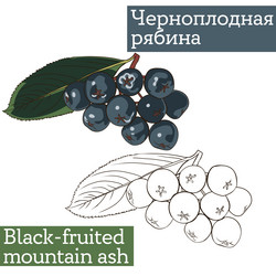 Similar image 21887610