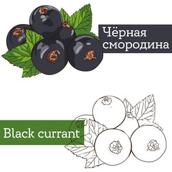 Similar image 21887612