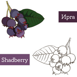 Similar image 21887613