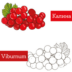 Similar image 21887614