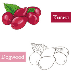 Similar image 21887378