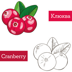 Similar image 21887380