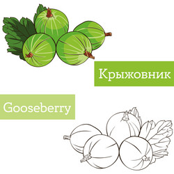 Similar image 21887382