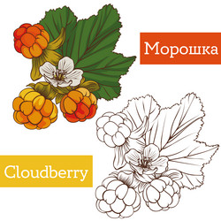 Similar image 21887384