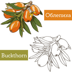 Similar image 21887385