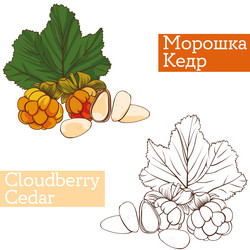 Similar image 21887266