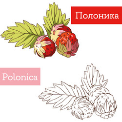 Similar image 21887267