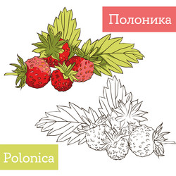 Similar image 21887268