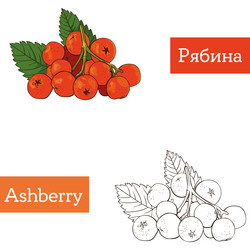 Similar image 21887269