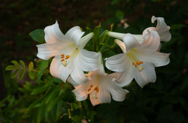 Similar image 21890903