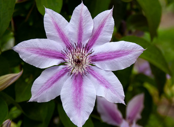 Similar image 21890904