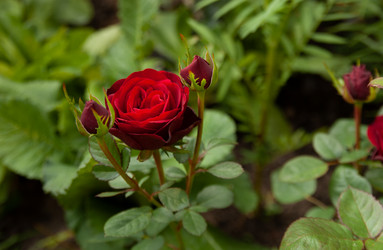 Similar image 21890905