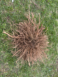 Similar image 21892592
