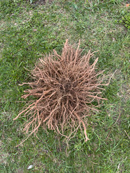 Similar image 21892593