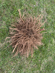 Similar image 21892594