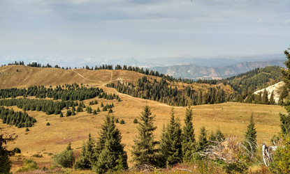 Similar image 21894447