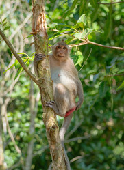 Similar image 21887431