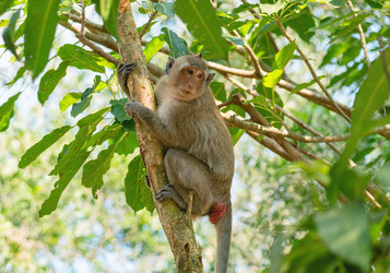 Similar image 21887432