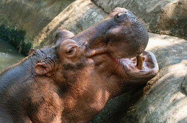 Similar image 21887454