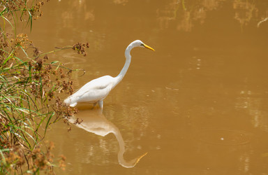 Similar image 21887458