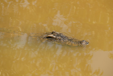 Similar image 21887411