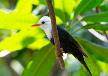 Similar image 21887414