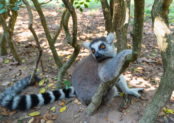 Similar image 21887417