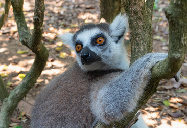 Similar image 21887418