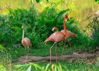 Similar image 21887419