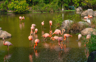 Similar image 21887420