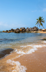 Similar image 21887441